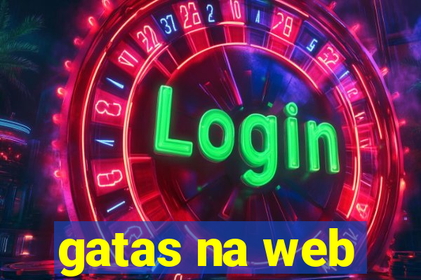 gatas na web